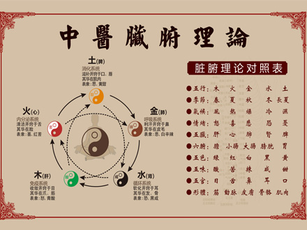 图片无法显示