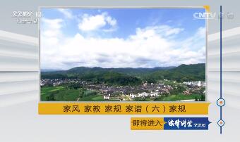 图片无法显示