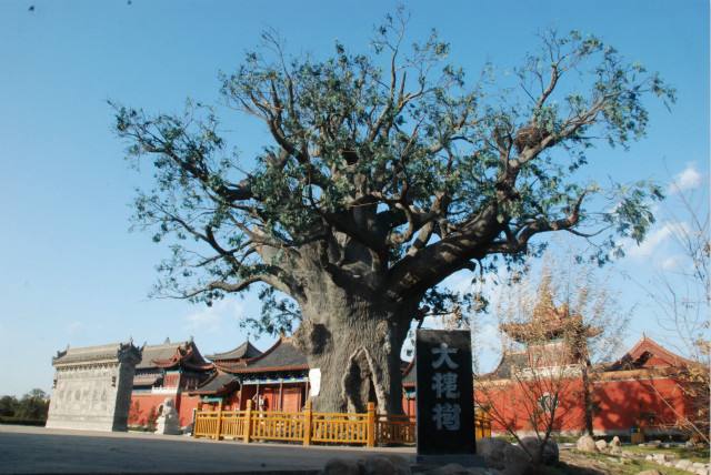 图片无法显示