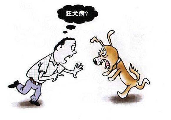 狂犬病发病.jpg