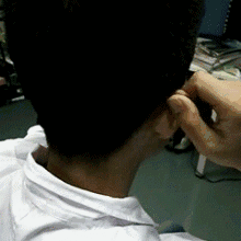 1536216689579.gif 15209953052756fa8ac72bb.gif