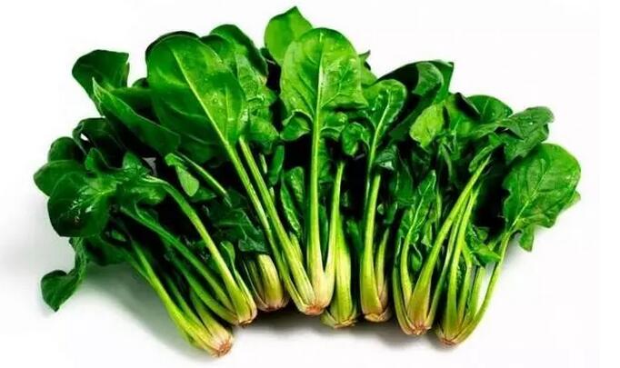 1536736619352.jpg 蔬菜.jpg