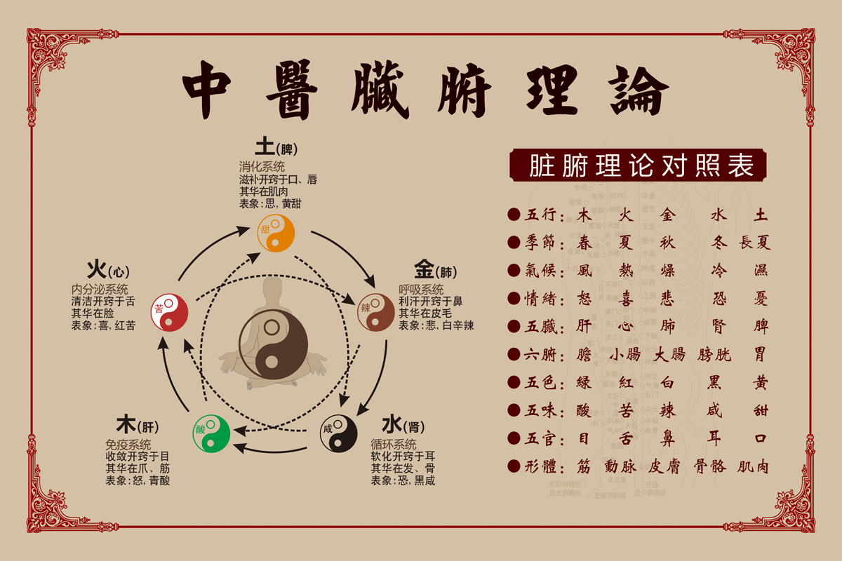 1538012970051.jpg 中医脏腑.jpg