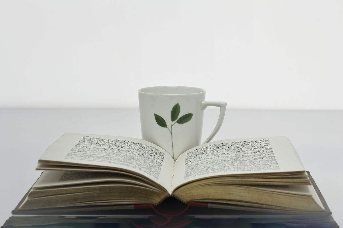 1540437414723.jpg 看书.jpg