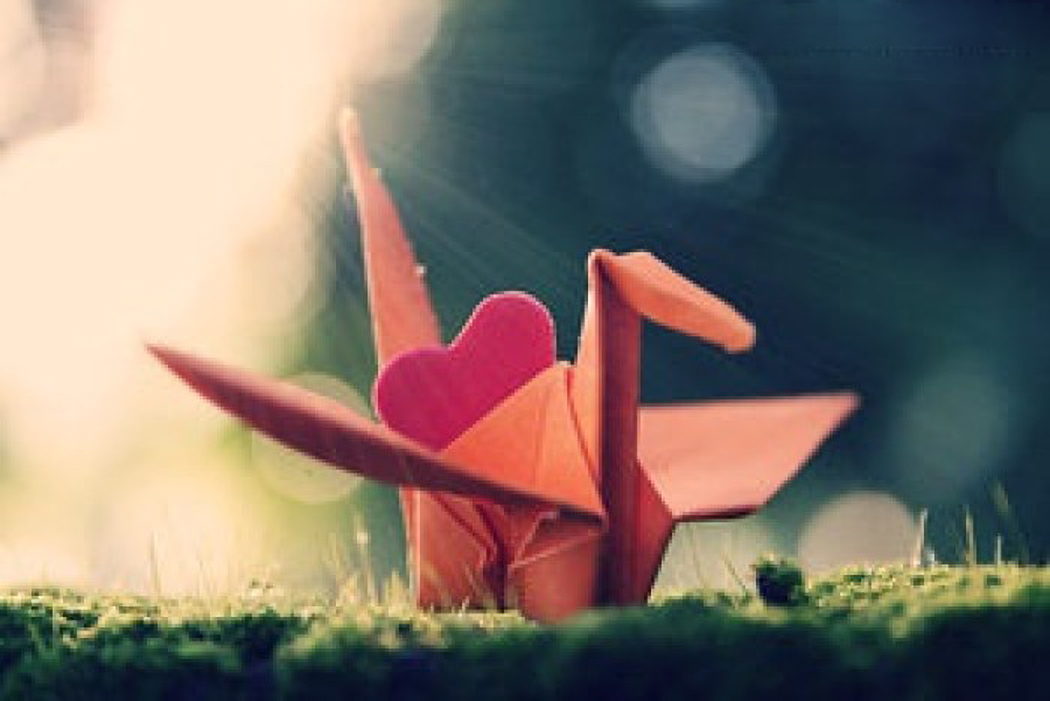 1540518656427.jpg 心愿.jpg