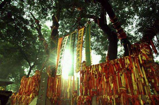 1590628028979.jpg timg (2).jpg