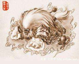 1591580202626.jpg timg (2).jpg