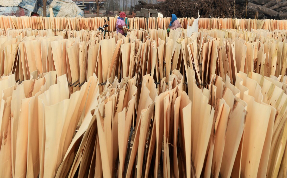 1599700378767.jpg af824b42-e120-4f6a-b49b-a1820fad33bc.jpg