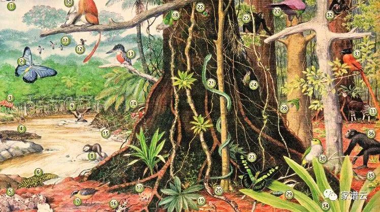 1600391199033.jpg 微信图片_20200918090032.jpg