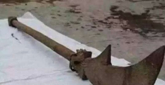 1605056813512.jpg 3e7aeed3-5d62-414b-9e26-a4403b2c9b31.jpg