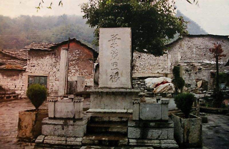 1608771992482.jpg 3.jpg