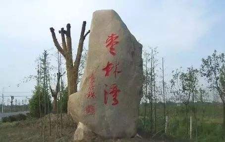 1609290745608.jpg 5.jpg